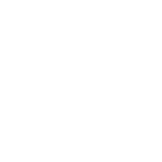 Axon